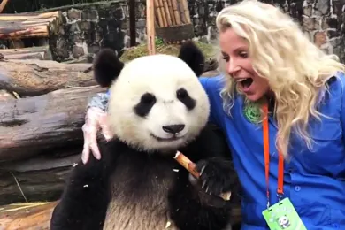 13-Day Grand China with Pandas